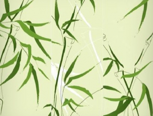 fototapeta 03